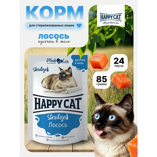 Корм влажный для стерилизованных кошек Хэппи Кэт (Happy Cat) Лосось кусочки в желе, пауч (24шт*85гр)