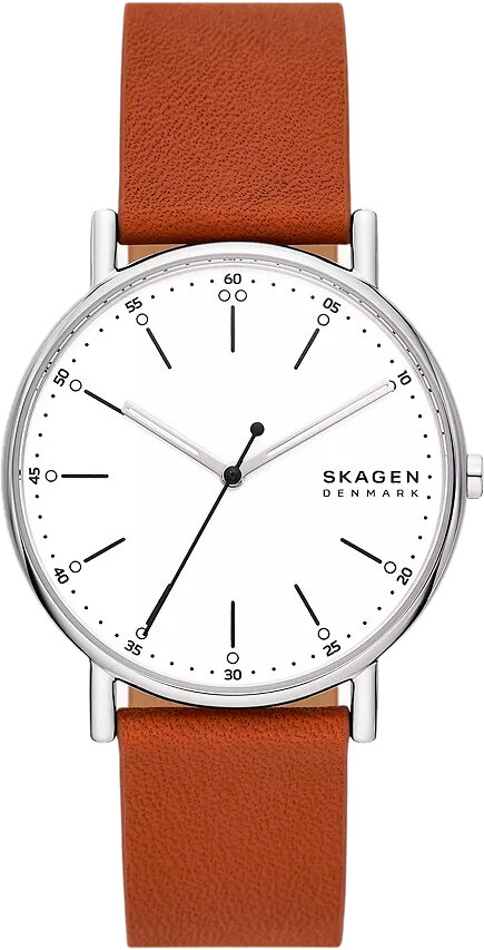 Наручные часы SKAGEN