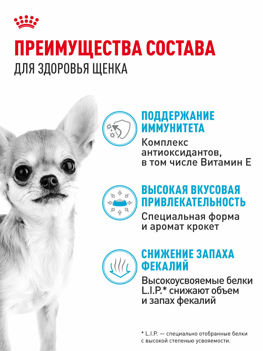 Сухой корм для щенков Royal Canin Puppy для породы чихуахуа, 1,5 кг — фото 1