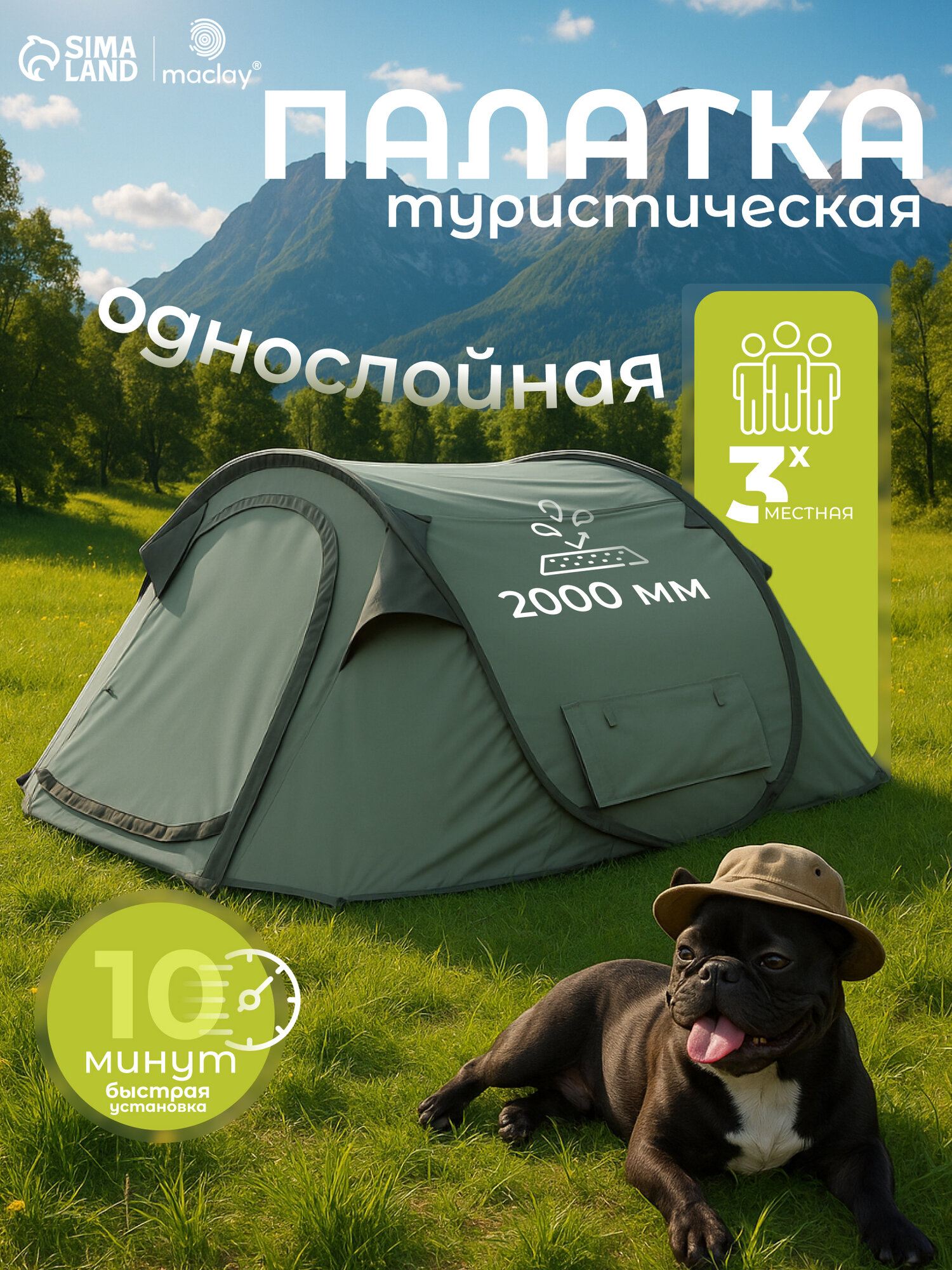 Палатка самораскрывающаяся размер 245 x180 х115 см, 3 х местная