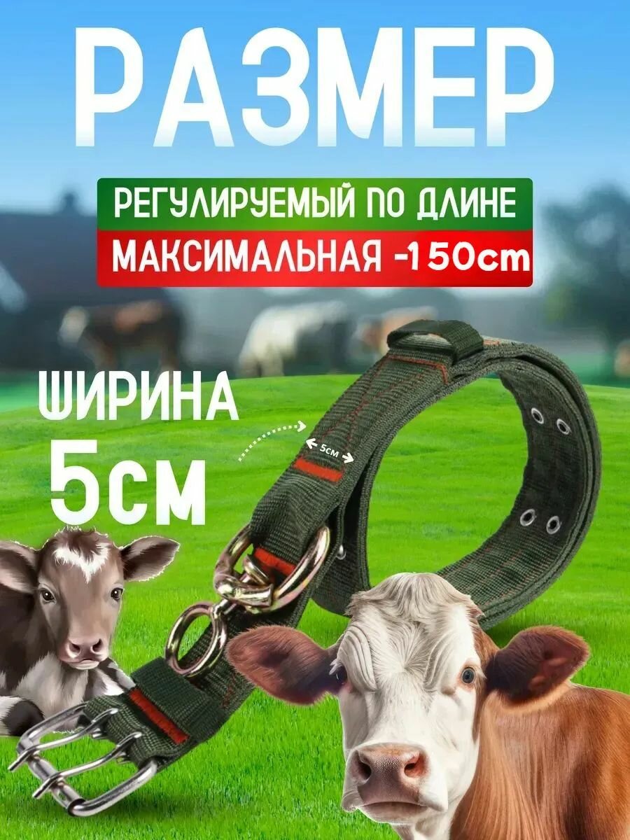Ошейники для крупного рогатого скота, коров, телят и лошадей из 6-слойного нейлона толщиной 150 см/50 мм