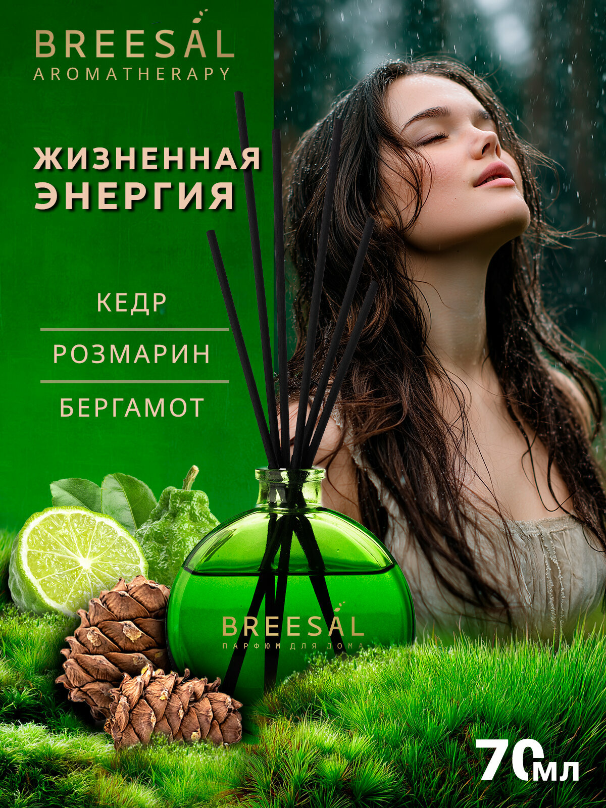 Диффузор для дома с палочками Breesal Arome Sticks Ароматизатор для дома, Жизненная энергия 70 мл