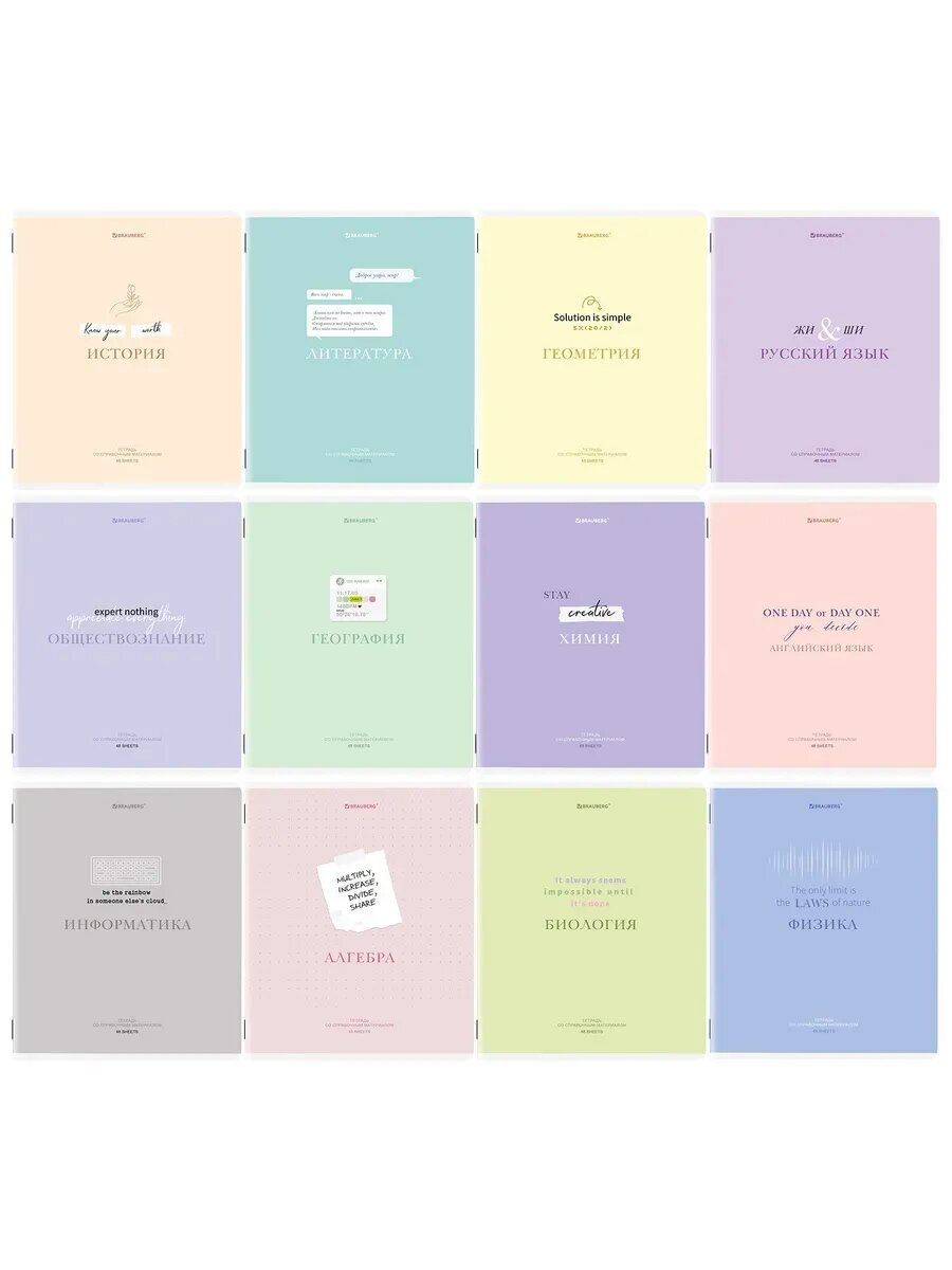 Набор тетрадей BRAUBERG "Предметные", формат A5, 48 листов, 12 штук