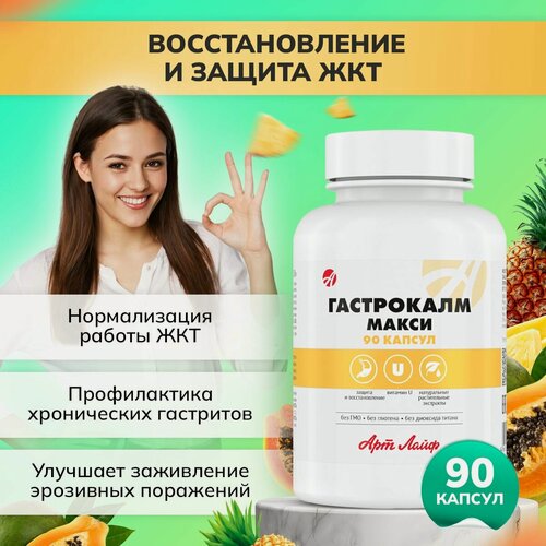Изображение товара Арт Лайф Гастрокалм Макси, 90 капсул, для ЖКТ, профилактика гастрита, язвы.