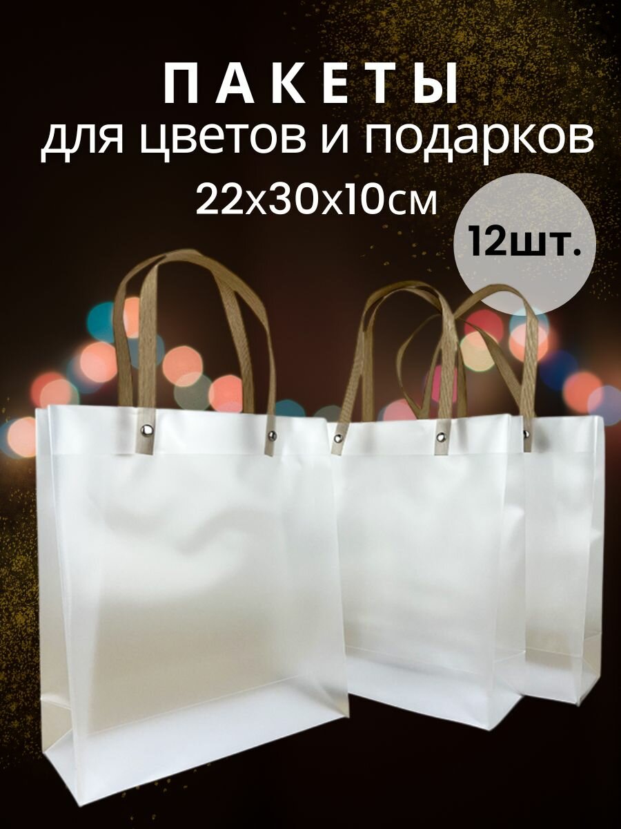 Пакет подарочный пластиковый с ручками 22х30х10см. 12шт/уп. (B80)