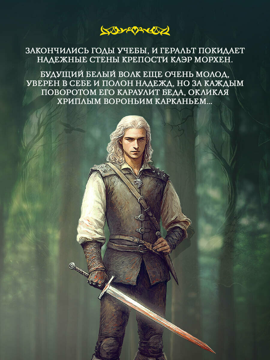 Книга Сапковский А. А. "Перекрёсток Воронов" от АСТ, твердый переплет, 2025 год — фото 1