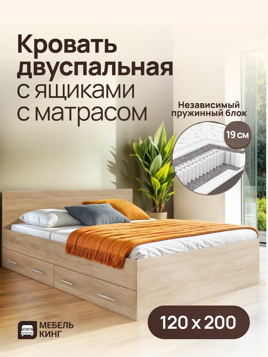 Полутороспальная кровать 120х200 Амелина с ящиками с ортопедическим матрасом, независимый пружинный блок, высота 19 см, дуб сонома