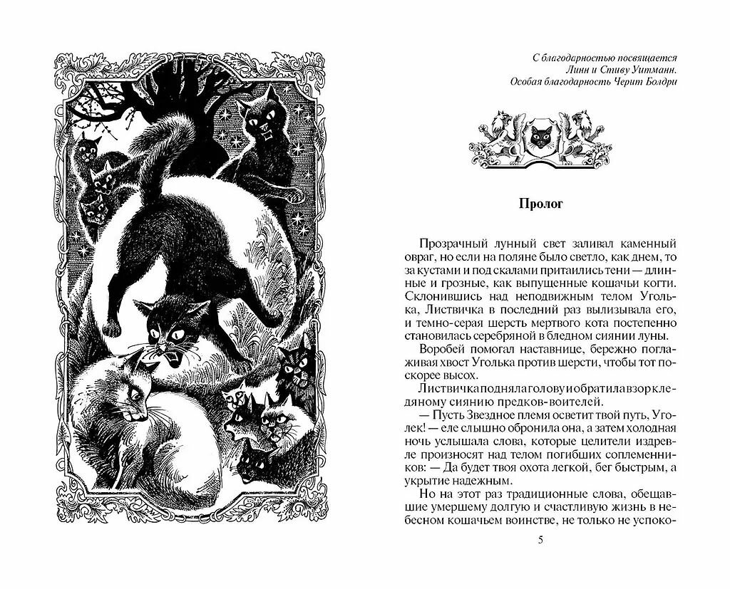 Восход солнца — фото 1