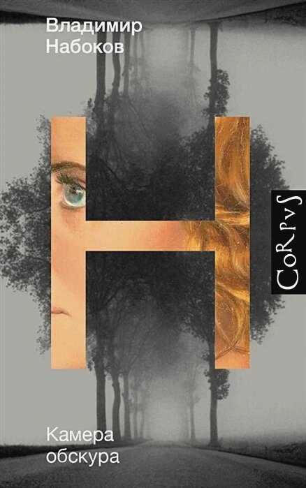 Камера обскура