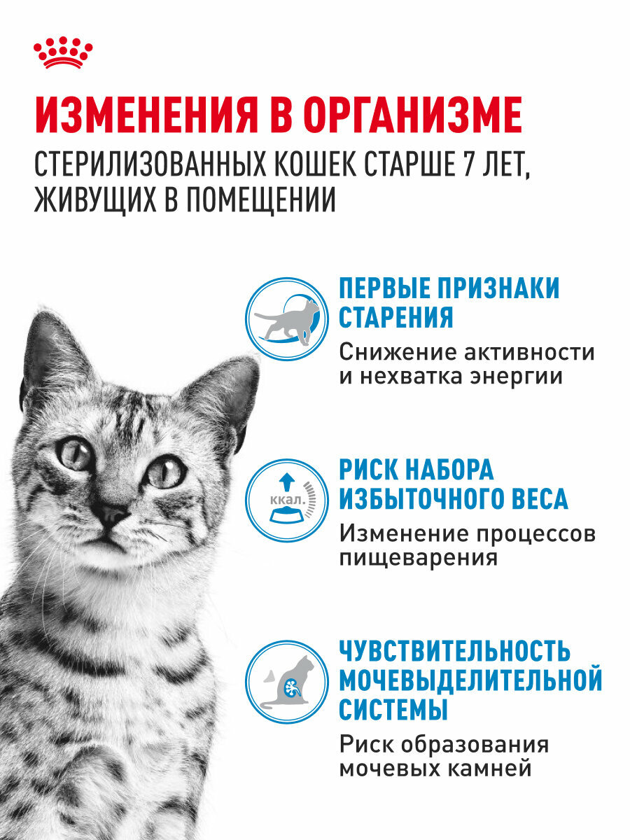 Royal Canin INDOOR STERILISED 7+ (ИНДОР СТЕРИЛАЙЗД 7+) Корм консервированный полнорационный для кошек (в возрасте от 7 до 12 лет), живущих в помещении, мелкие кусочки в желе, 28 шт по 85г — фото 1