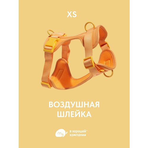 Анатомическая прогулочная шлейка для собак средних пород IN GOOD COMPANY М фиолетовый 3325₽