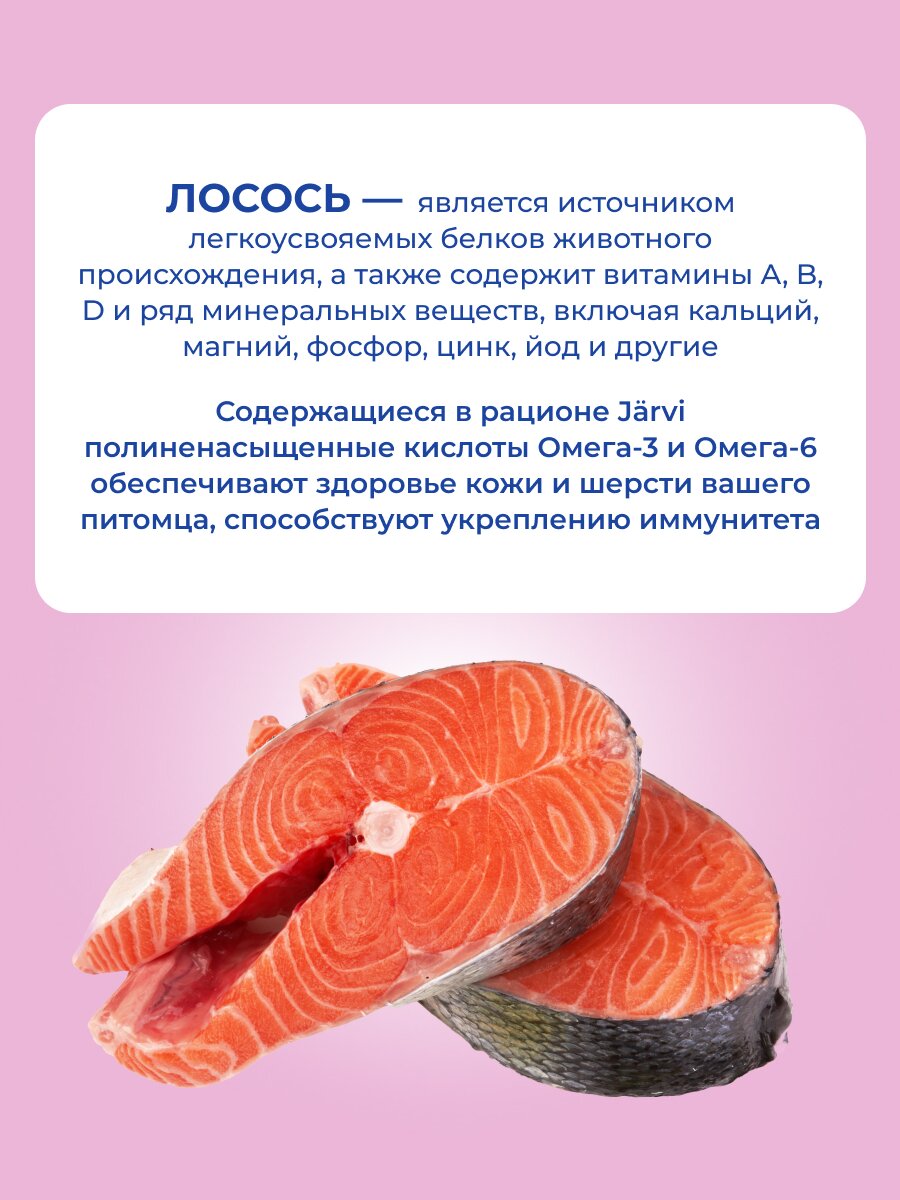 Влажный корм Jarvi Extra meat line для кошек для красивой шерсти и здоровой кожи (кусочки в желе) Лосось, 85 г х 12 шт. — фото 1
