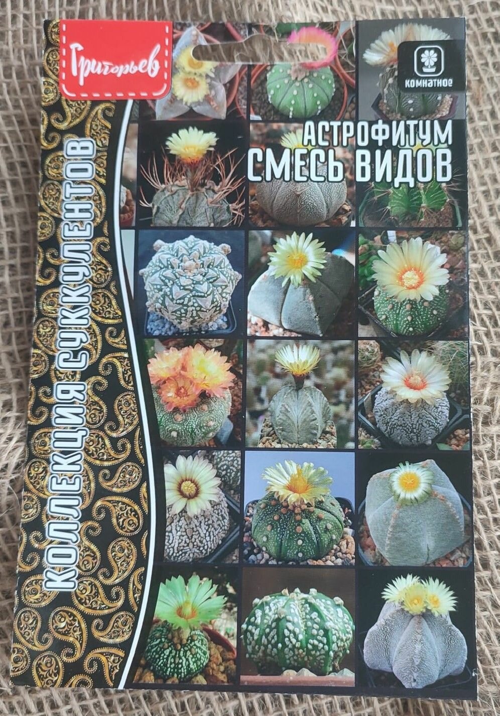 Кактусы (Астрофитум) смесь видов семена 5 штук. Смесь видов.