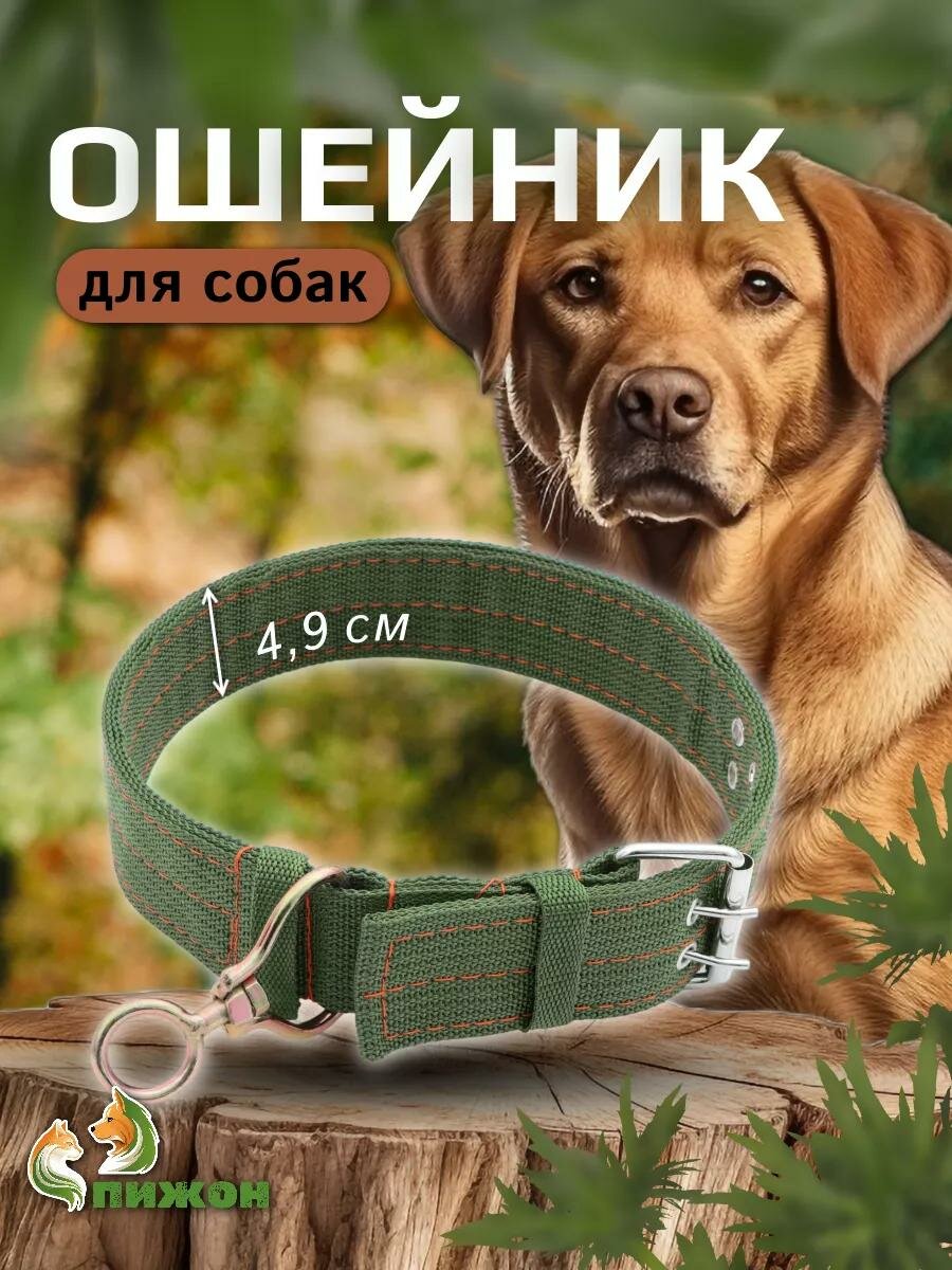 Ошейник четырехслойный с вертлюгом, 80 х 4,9 см, ОШ 64-74 см, полиэстер, зелёный — фото 1