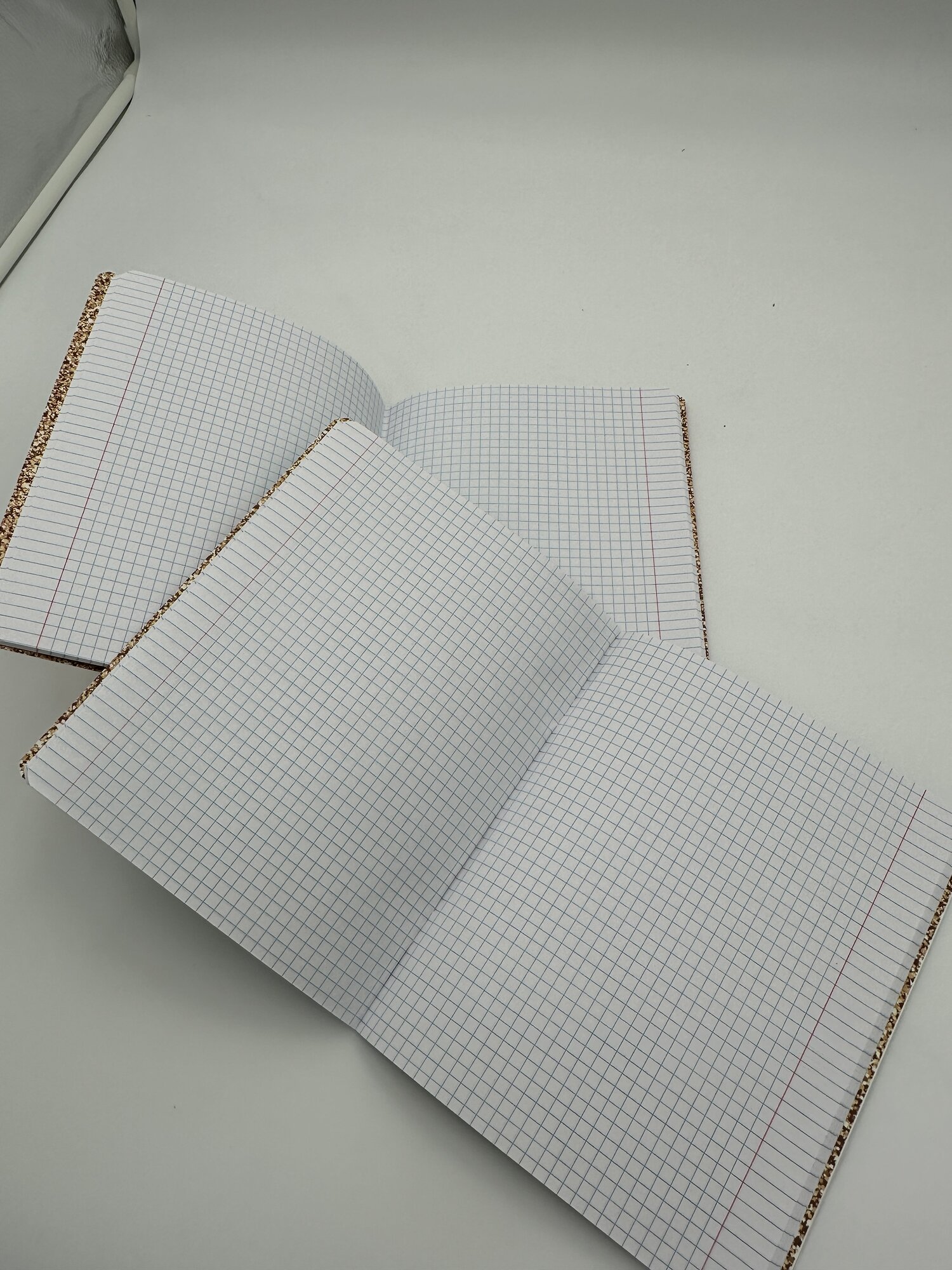 Набор тетрадей в клетку, 2 шт, «SHINY» Универсальный , модный — фото 1