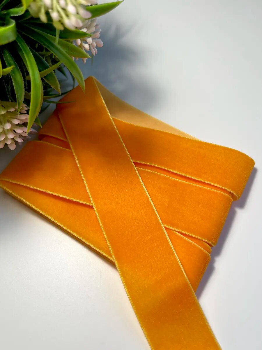 Лента бархатная 2,5 см