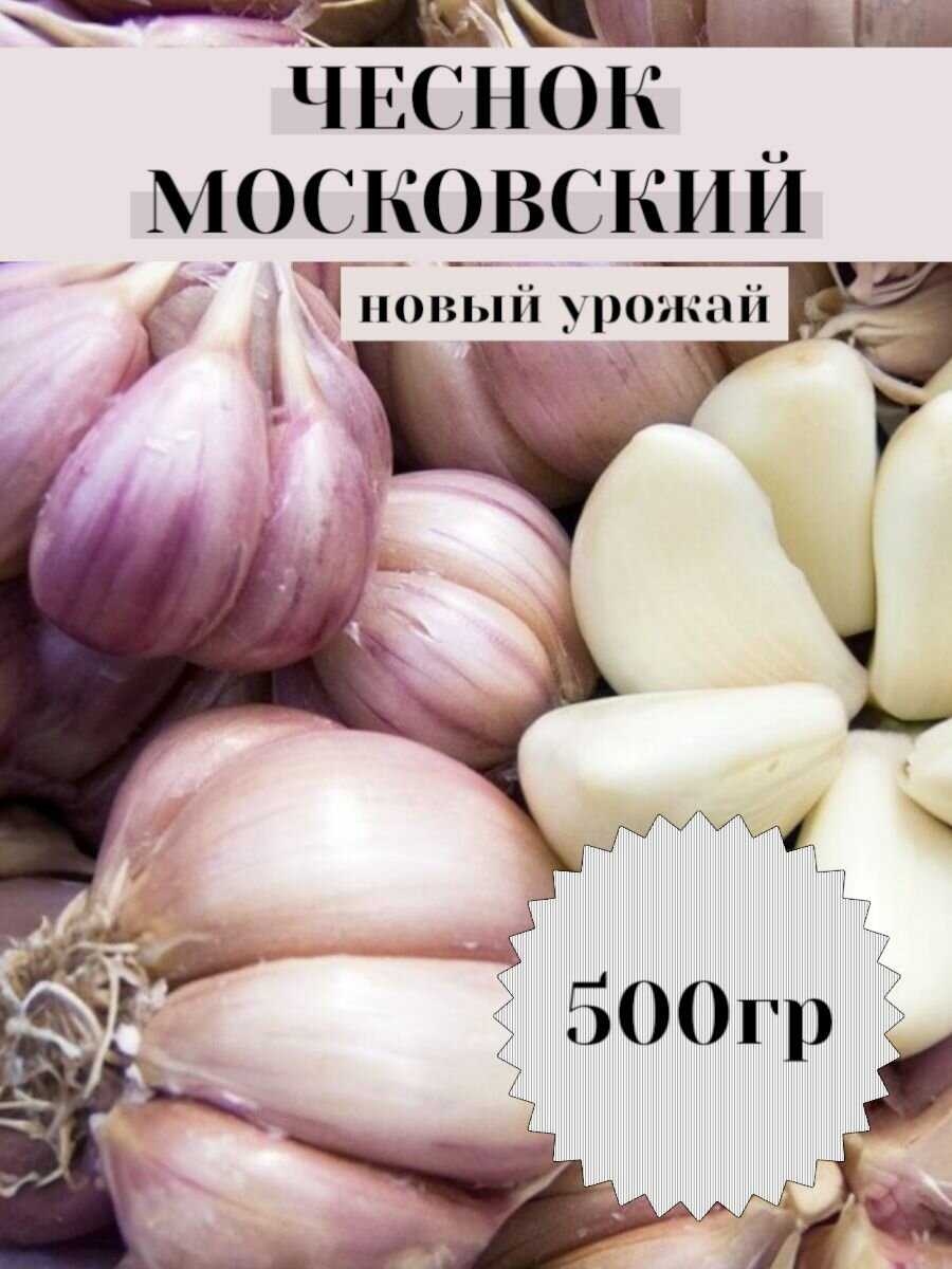 Чеснок на посадку озимый / Сорт отборный/ Московский для посадки осенью 0,5кг