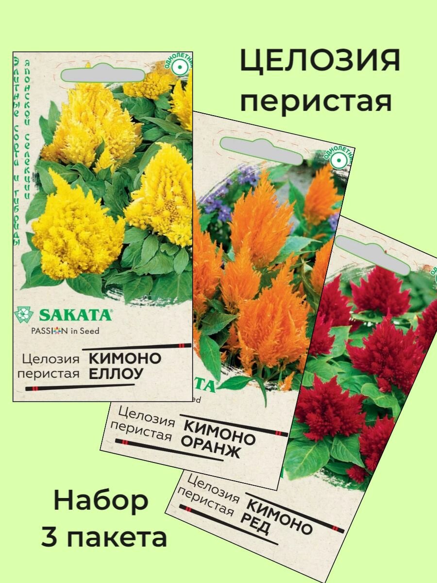 Семена Целозия Перистая 3 сорта