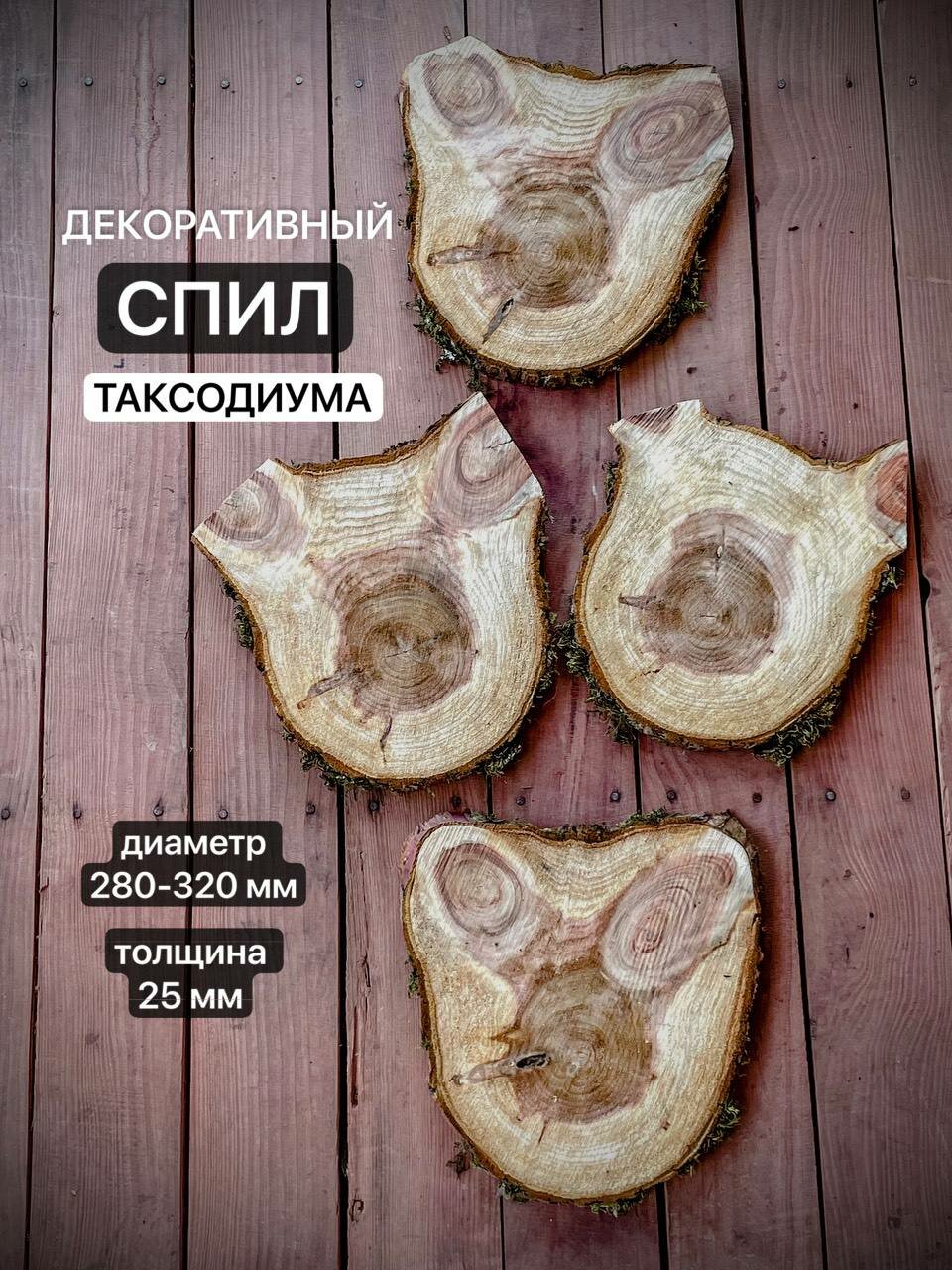 Декоративный спил Таксодиума, диаметр 28-32 см, толщина 2.5 см, 1шт