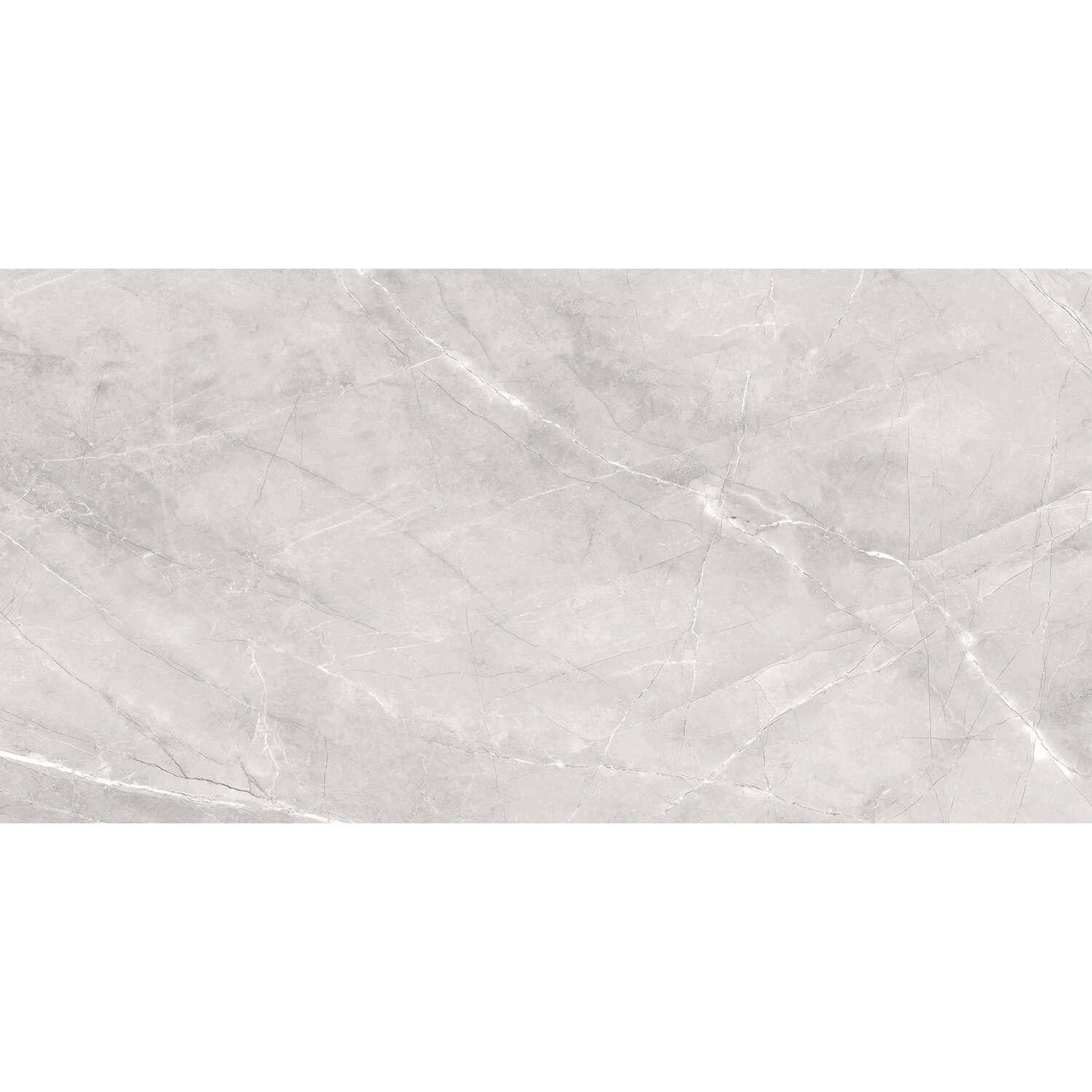 Керамогранит ARMANI SILVER 60x120 MATT , матовая(цена за 2 плит. 1,44 м2)