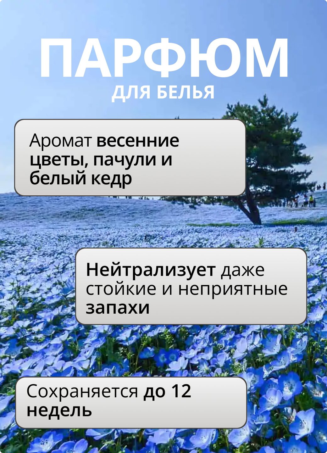 Ароматизатор-кондиционер для белья в гранулах Lenor "Risveglio Primaverile", Весеннее пробуждение, 270 г. — фото 1