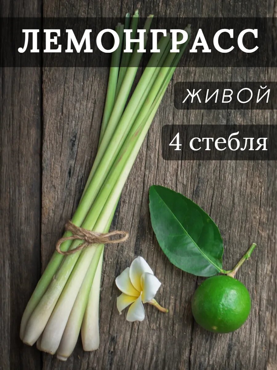 Лемонграсс живой натуральный 4 стебля