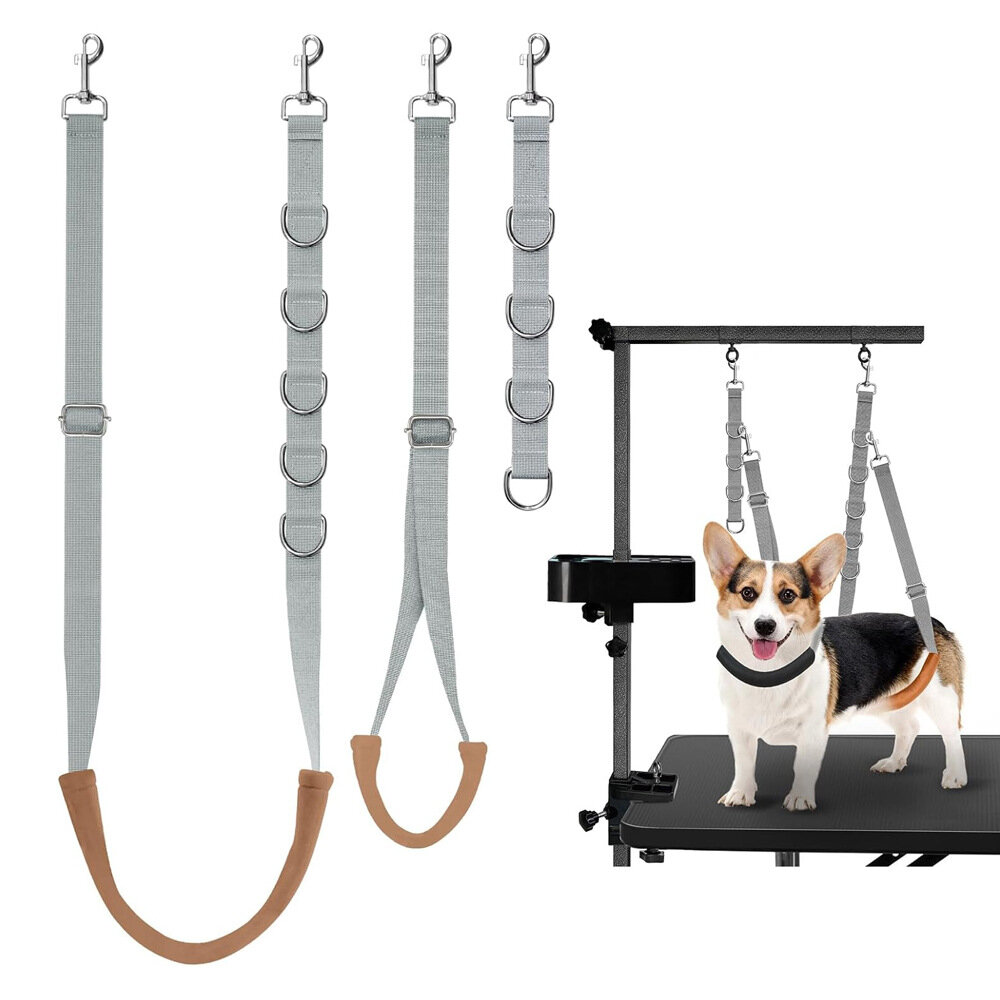 Ринговка для собак wikiGROOM №7 c поддержкой (комплект)