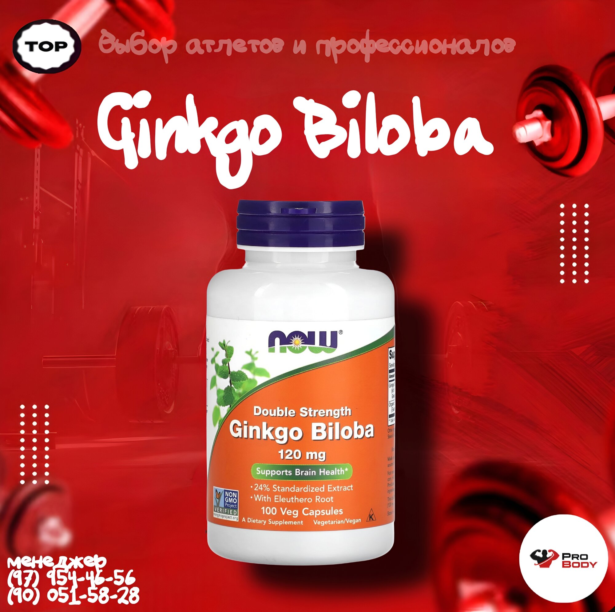 Now Food Ginko Biloba 120mg, 100 капсул, 100 порций сертификат GMP
