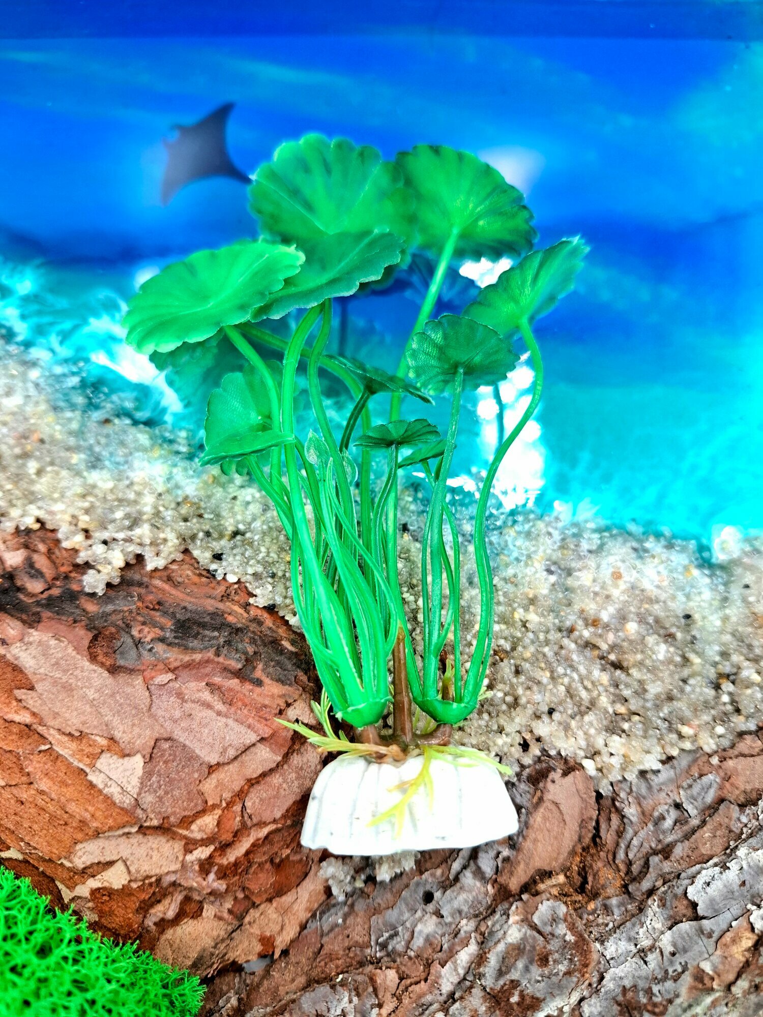 Декорация для аквариума, набор растений водоросли — фото 1