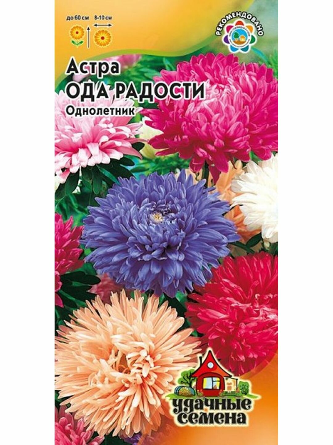 Семена Астра Ода радости смесь однолетник цветной пакет Гавриш - Удачные семена 1 пачка - 0.3г семян