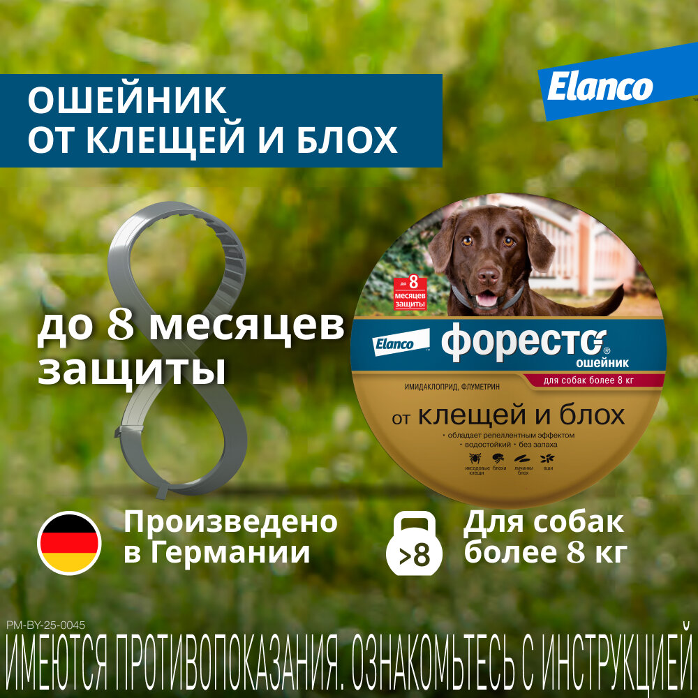 Ошейник Форесто (Elanco) от клещей и блох для собак более 8 кг