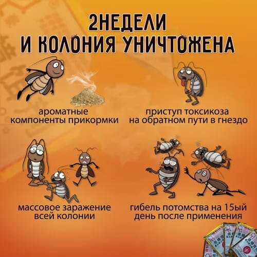 5шт. Средство от тараканов печеньки с фипронилом, порошок