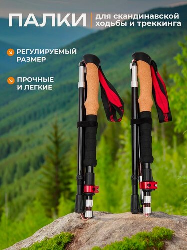 Изображение товара Палки для скандинавской ходьбы