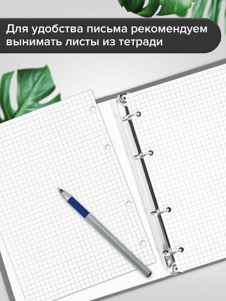 Тетрадь на кольцах А5 в клетку со сменным блоком 175х215 мм, 120 листов, обложка твердый картон, Brauberg Softness, 404722 — фото 1