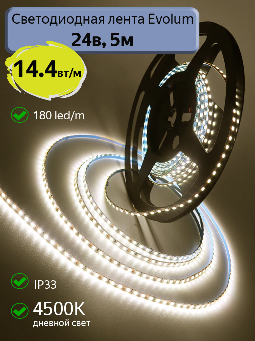 Светодиодная лента Evolum  24В  14 4Вт м  4500К дневной свет  180 led m  IP33  5м