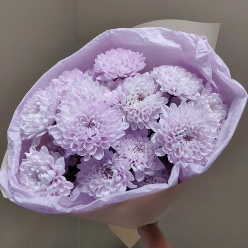 Изображение товара Невероятно шикарные лавандовые хризантемы в авторской упаковке