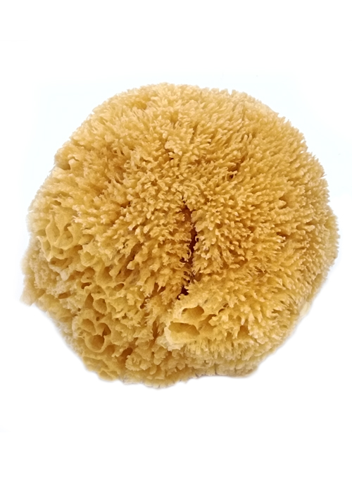 Губка Морская Pavan Натуральная 3120(S0112503) 15-16см.