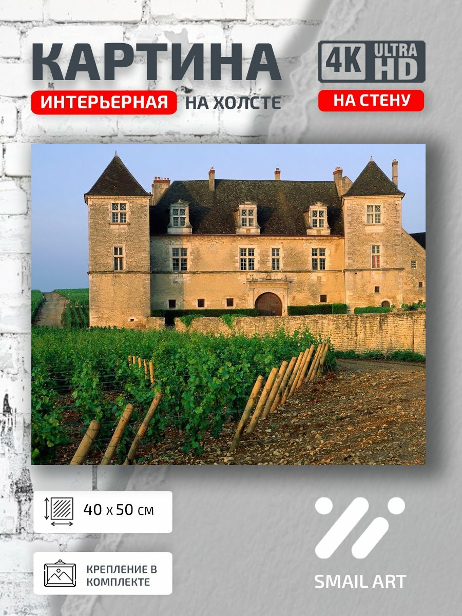 Картина на холсте интерьерная 40 на 50 на стену Стильная Vineyard для офиса атмосфера декор