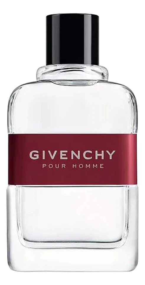 Туалетная вода Givenchy "Pour Homme", мужская, 2024 г, 100 мл — фото 1