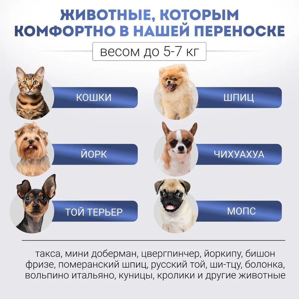 Переноска — фото 1