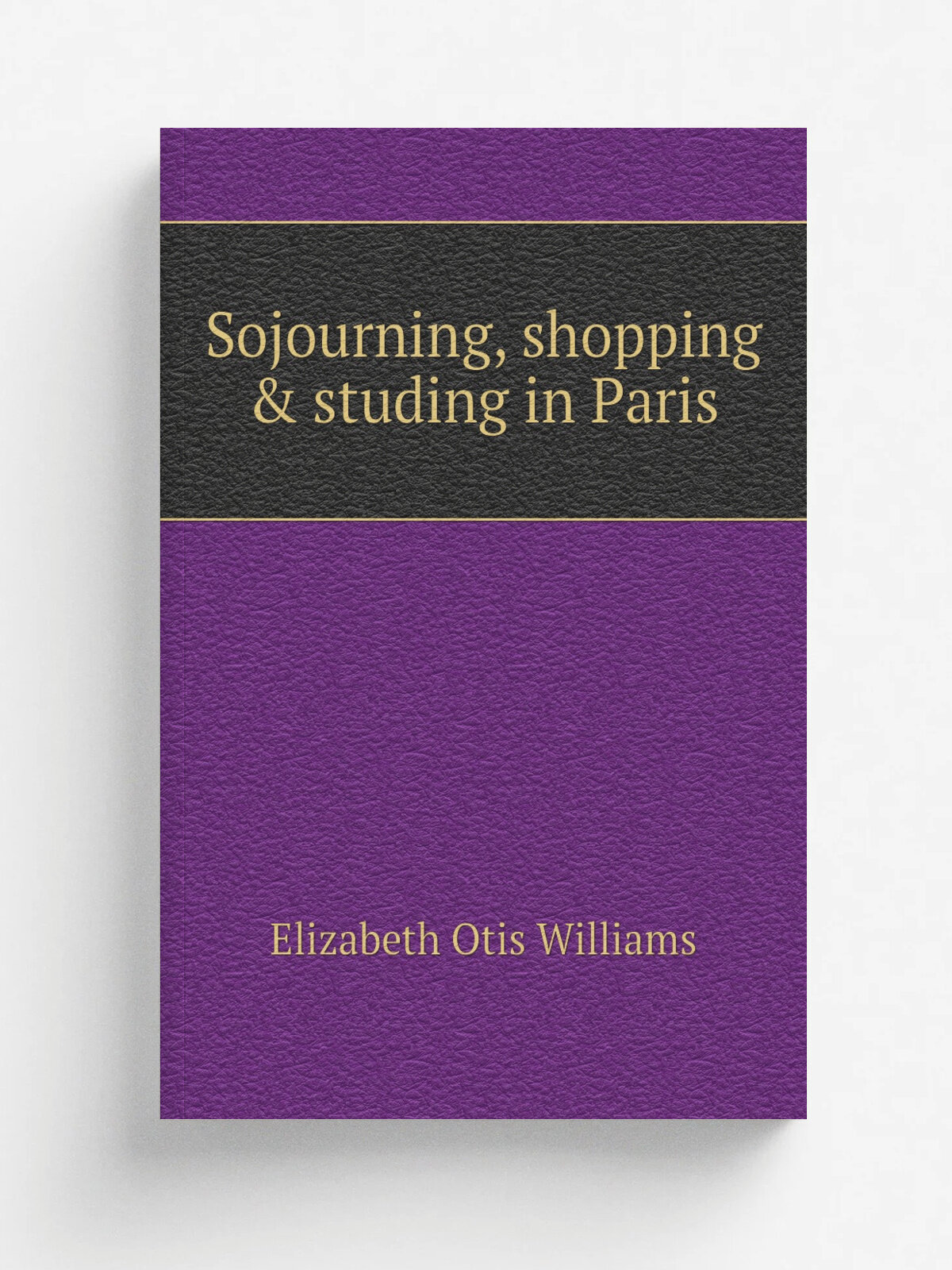 Sojourning, shopping & studing in Paris | Elizabeth Otis Williams | 1907 | Chicago, A. C. McClurg & co. | Репринт