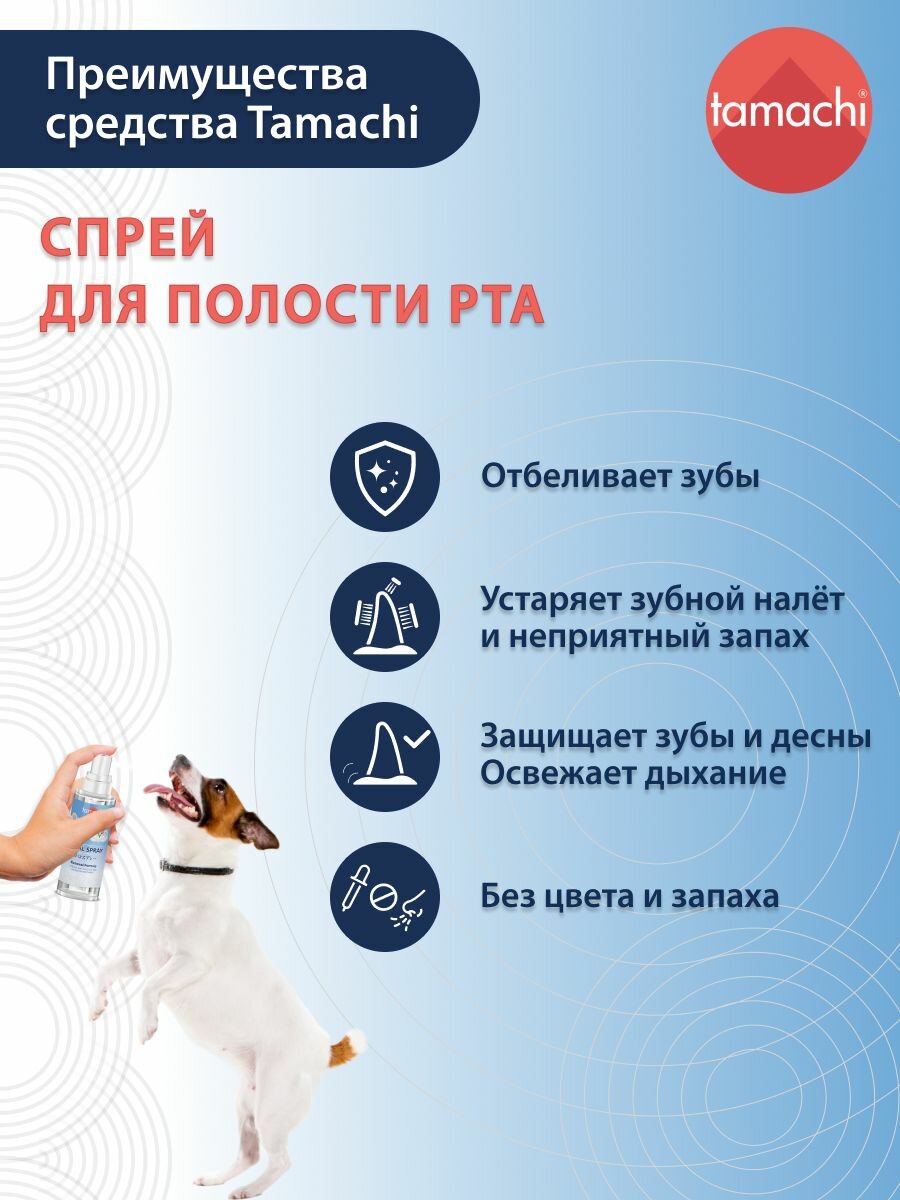 Картинки Tamachi Спрей для полости рта собак и кошек Тамачи 125 мл