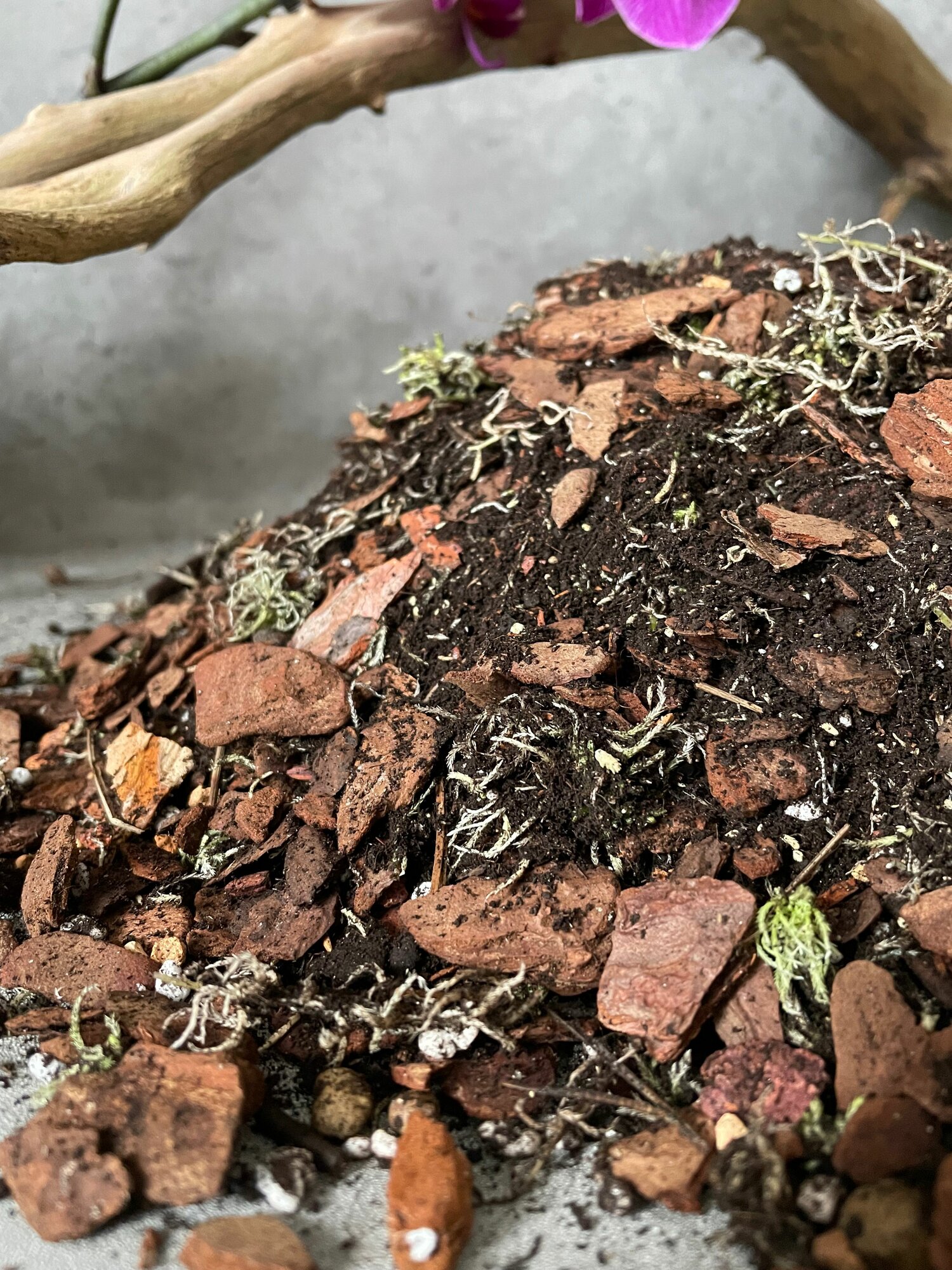 Готовый грунт для Орхидей Terracotta Plants с Биогумус 4 литра — фото 1