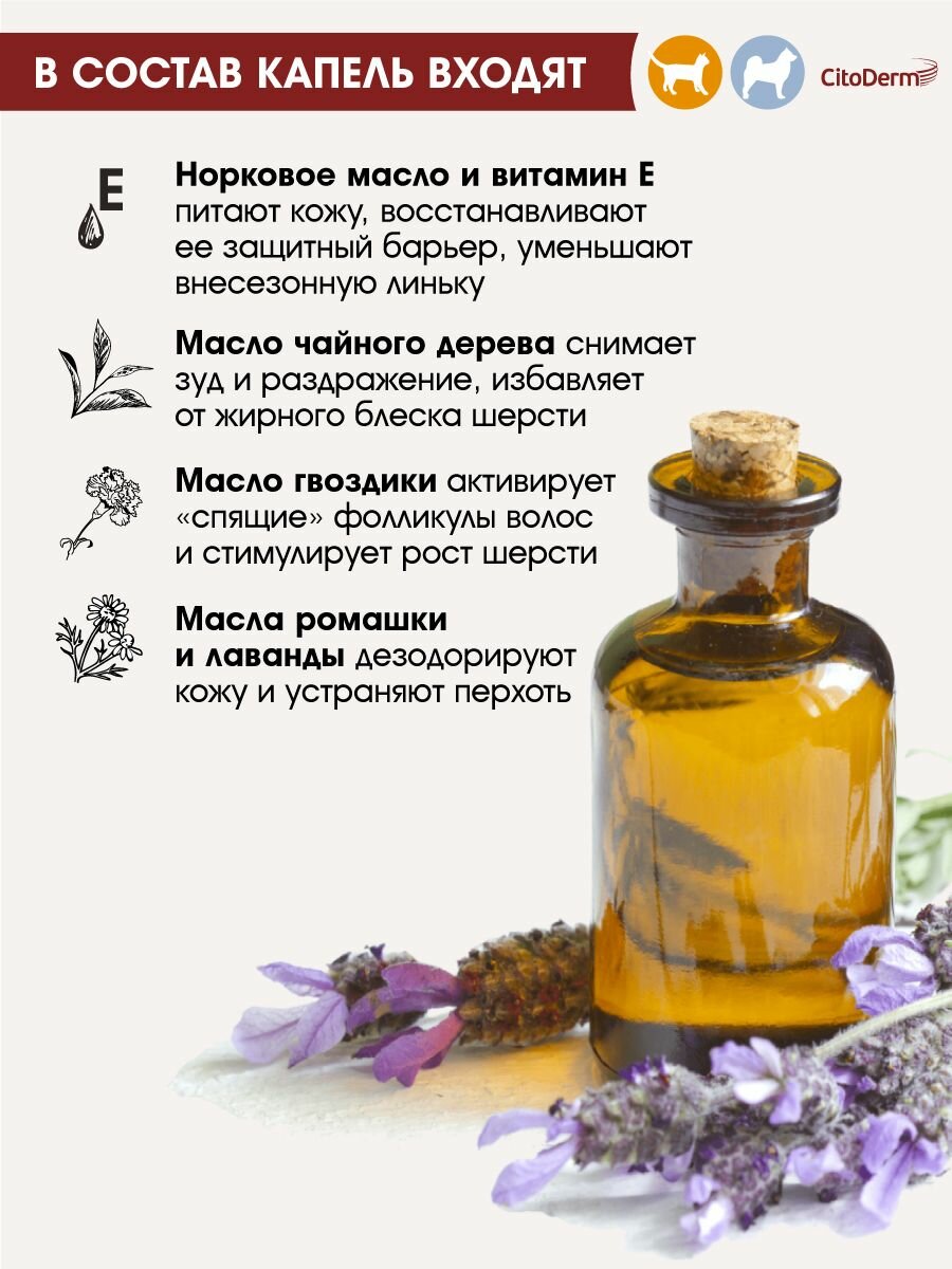 Капли дерматологические для кошек и собак до 10 кг CitoDerm для шерсти и кожи 4 шт — фото 1