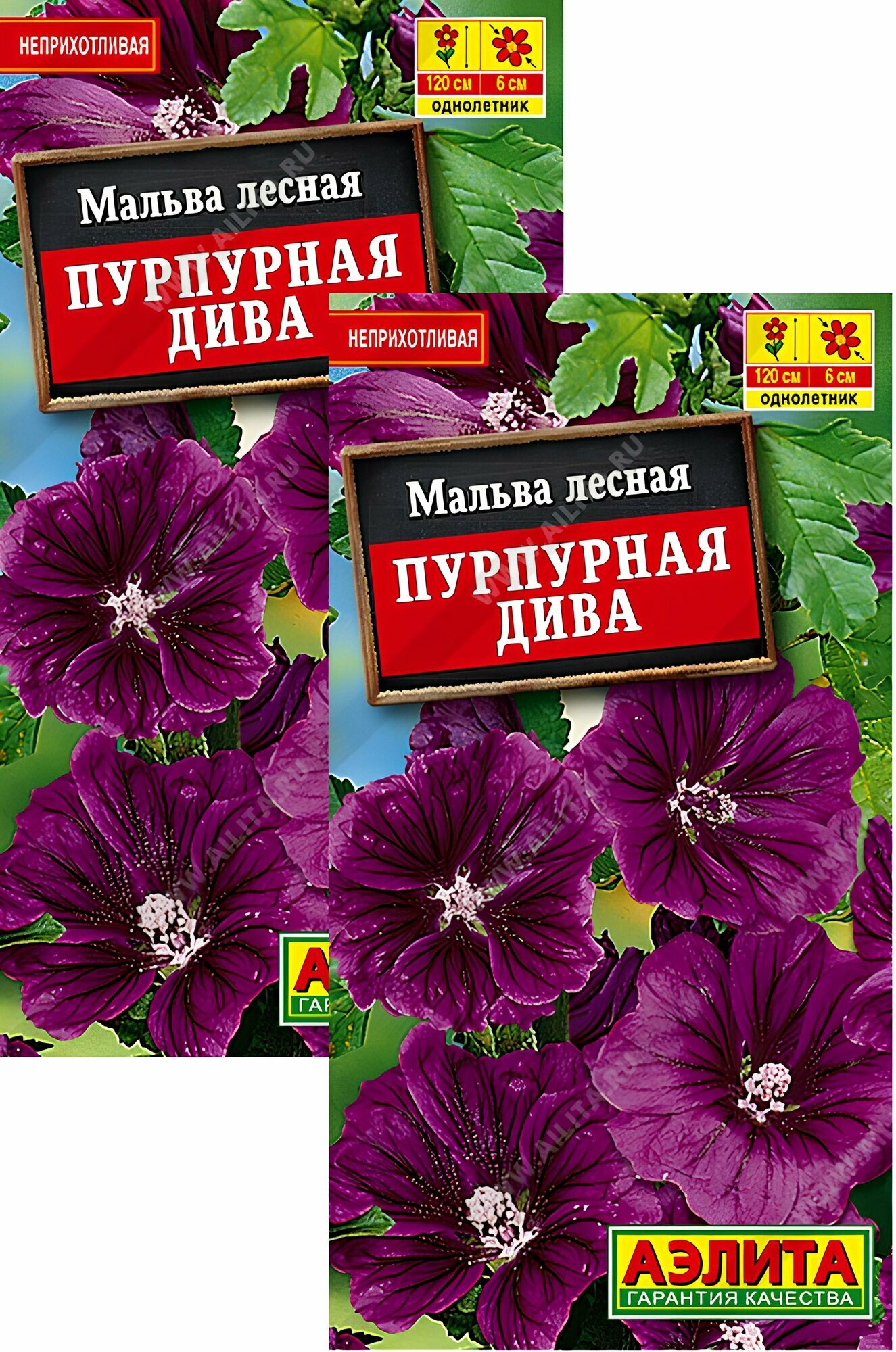 Семена Мальва Пурпурная дива (01 г) 2 пакета Агрофирма Аэлита