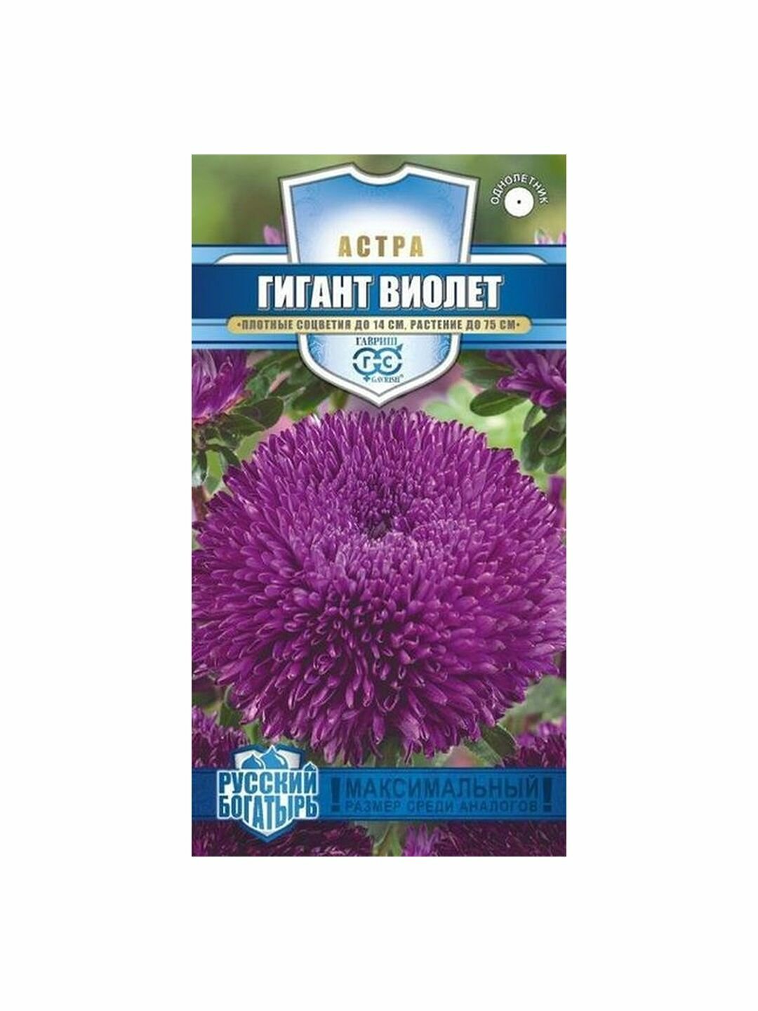 Семена Астра Гигант виолет игольчато-коготковая однолетник цветной пакет Гавриш 1 пачка - 0.1г семян