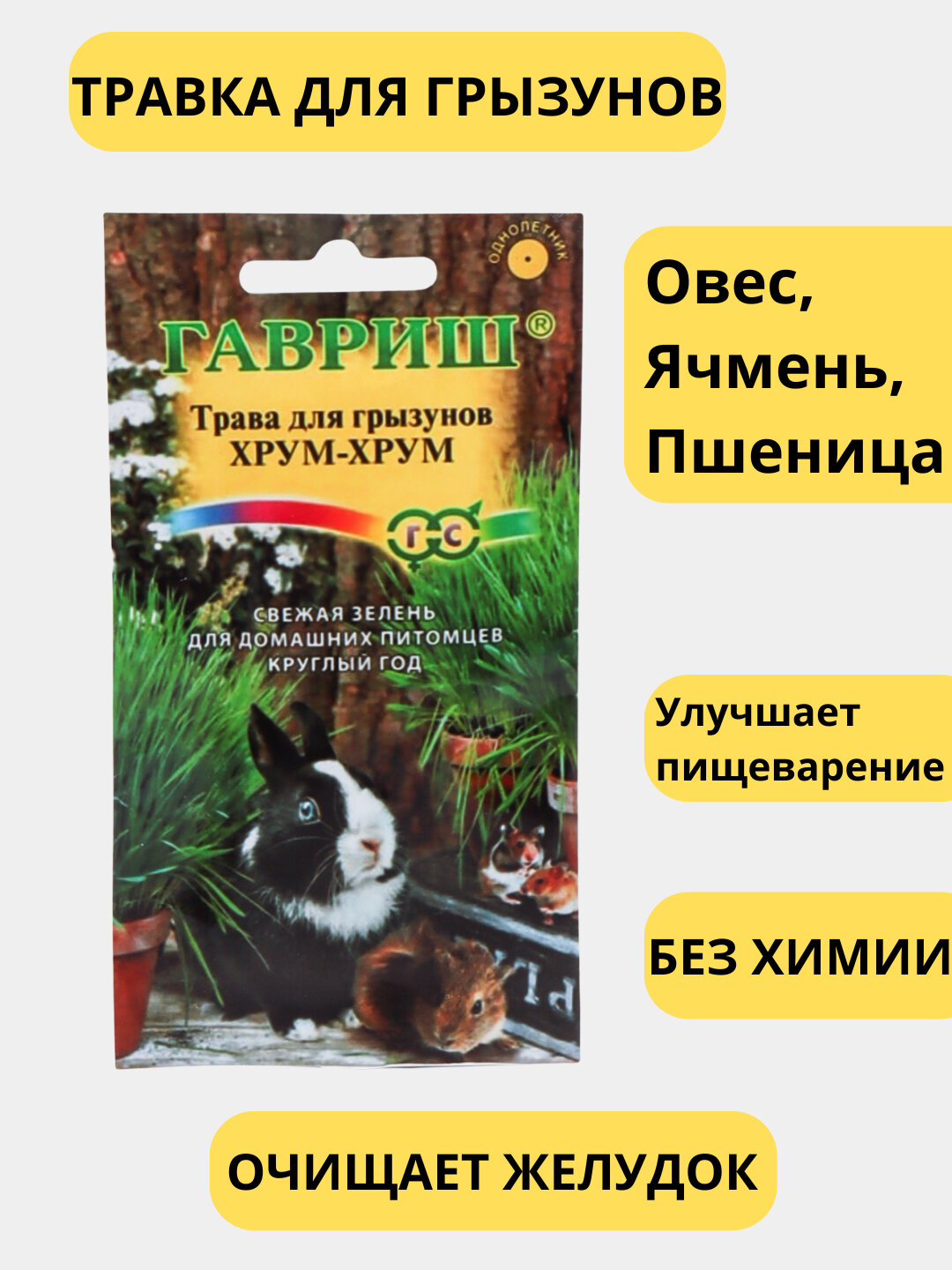 Трава для кошек, попугаев, грызунов, Трава для животных, Пророщенная трава, Зеленый корм, Витаминная добавка,