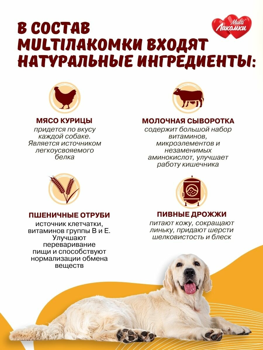 Витамины для собак MultiЛакомки лакомство Восхитительная шерсть 100 таблеток — фото 1