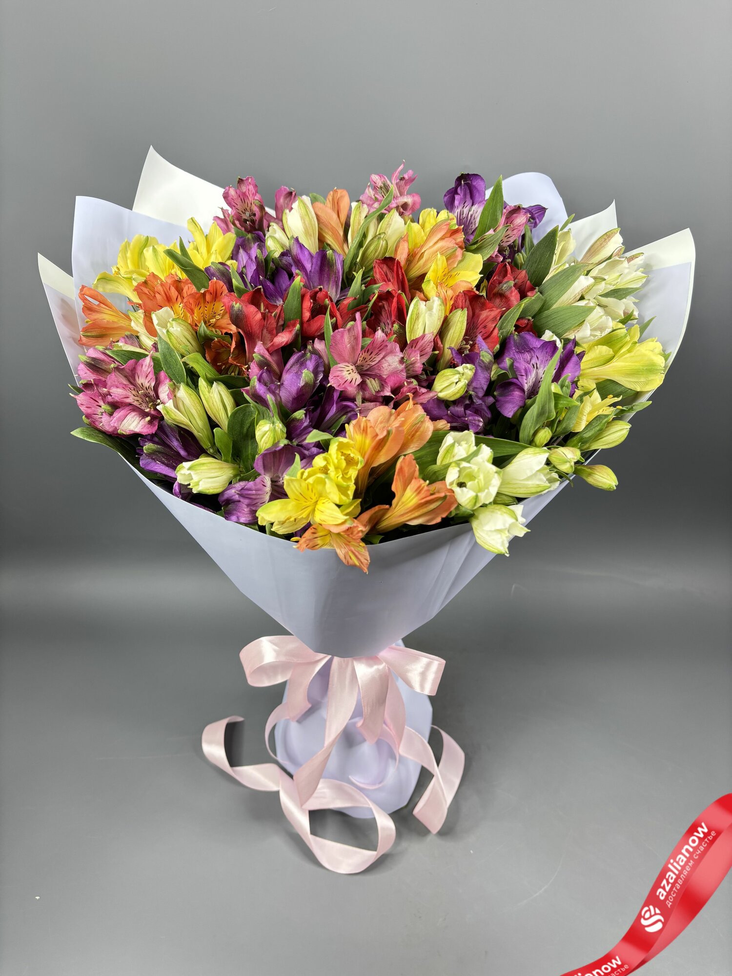 Букет из 25 альстромерий микс в голубой пленке с розовой лентой от АзалияНау