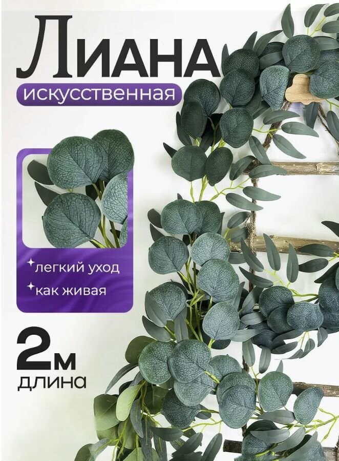 Лиана премиум искусственная для декора 2 метра эвкалипт голубой Серебряный доллар с ивой